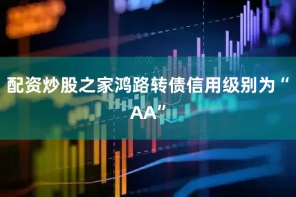 配资炒股之家鸿路转债信用级别为“AA”
